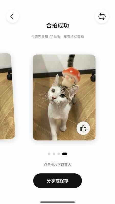 Picaaland�������°��ͼ4