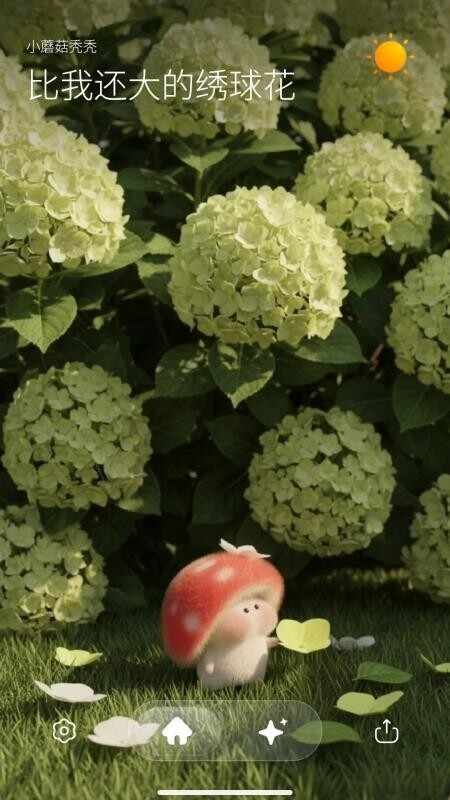 Picaaland�������°��ͼ1