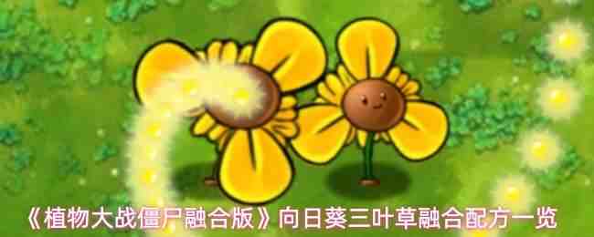 ֲ���ս��ʬ�ںϰ����տ���Ҷ���ں��䷽����