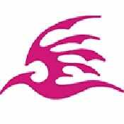 �ɼ�������