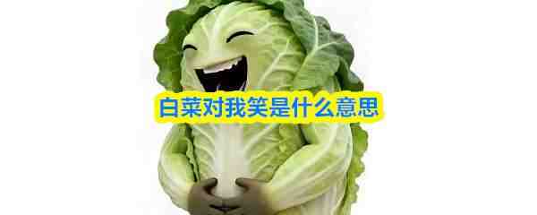 �ײ˶���Ц��ʲô��˼