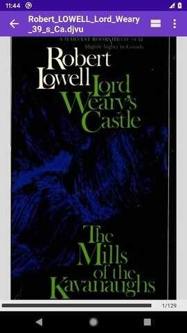 DjVu�Ķ�����ͼ2