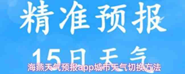 ��������Ԥ��app���������л���ʽ