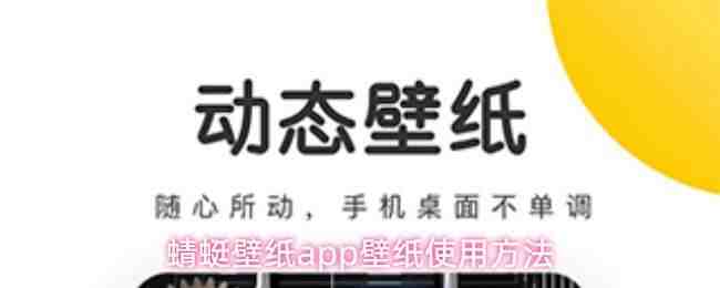 ���ѱ�ֽapp��ֽʹ�÷�ʽ