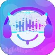 �����Ż�ʦ