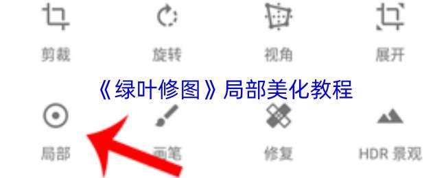 ��Ҷ��ͼ�ֲ���������