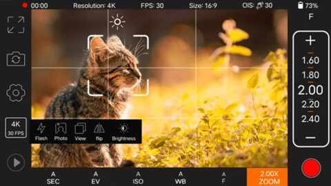 Prרҵ�������ͼ3