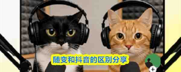 ���Ͷ���������ָ��