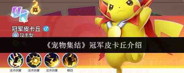 ���Ｏ��ھ�Ƥ�������