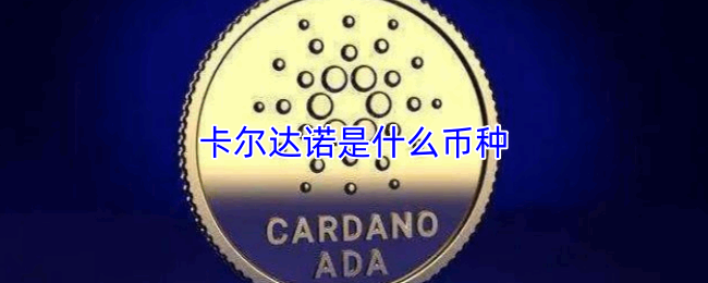 ������ŵ����ô���ı���