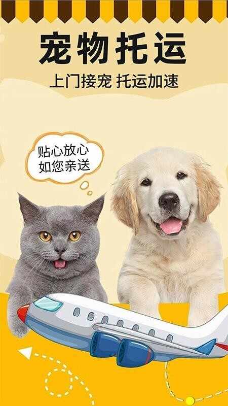 ˳��������˽�ͼ2