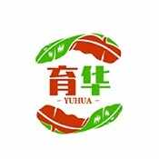 ������ʯTV