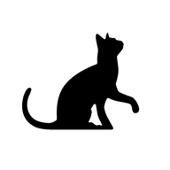 cat��������