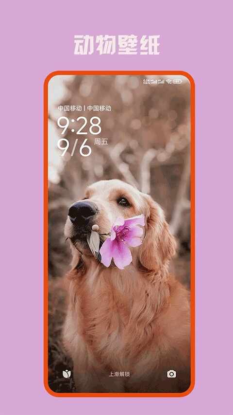 �ڴ���ѱ�ֽ�ٷ����ͼ2