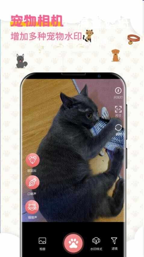 ���﷭���ͼ2