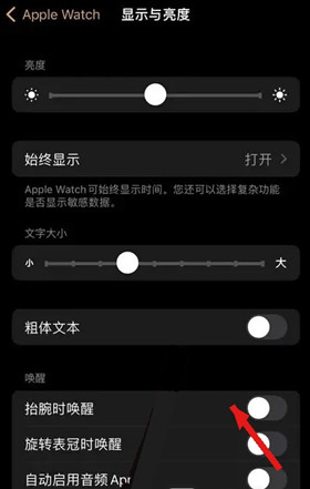 Apple Watch��ô�ر�̧������